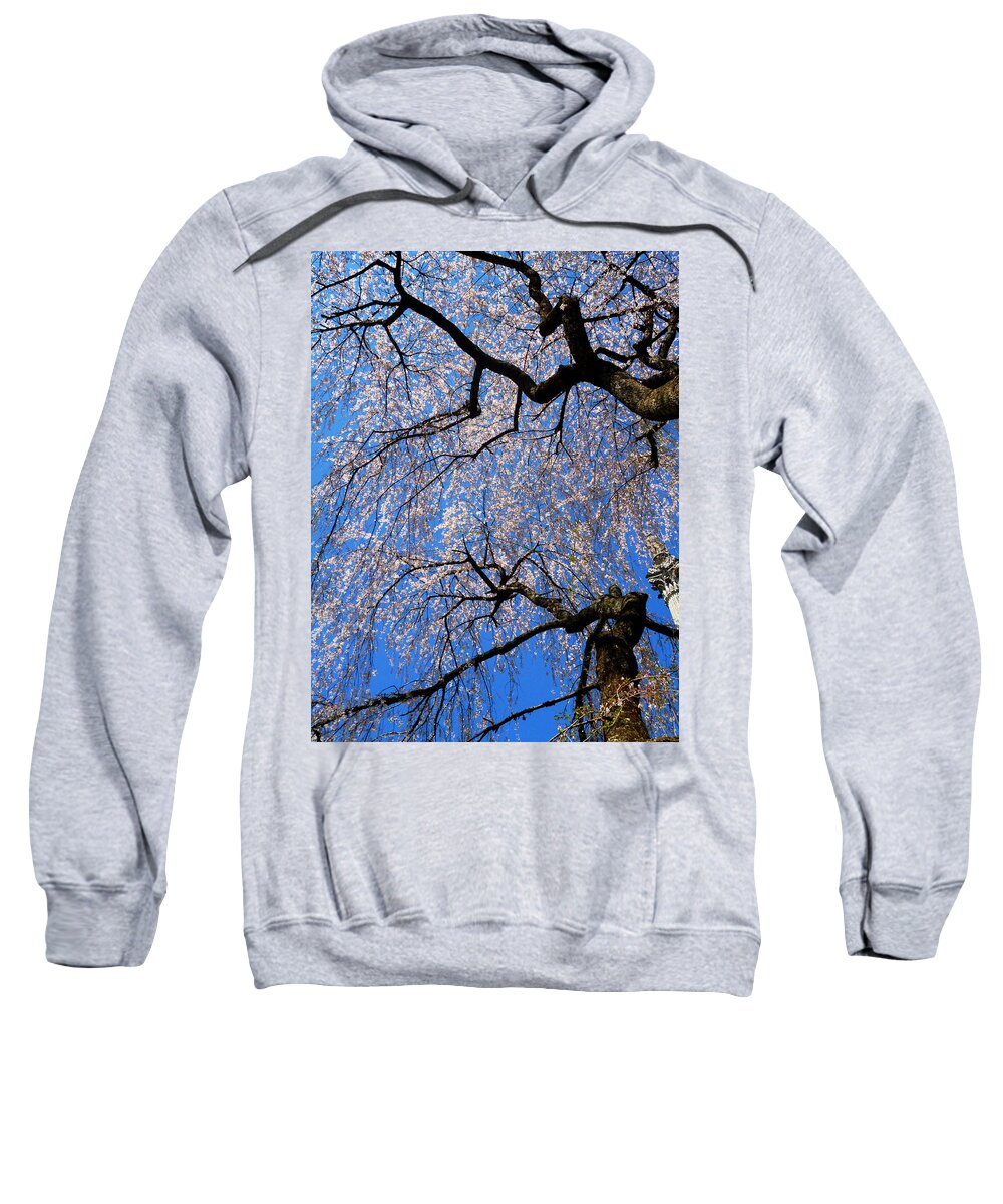 Spring Landscape Sweatshirt featuring the photograph Cherry Blossom Abstract by Mike McBrayer