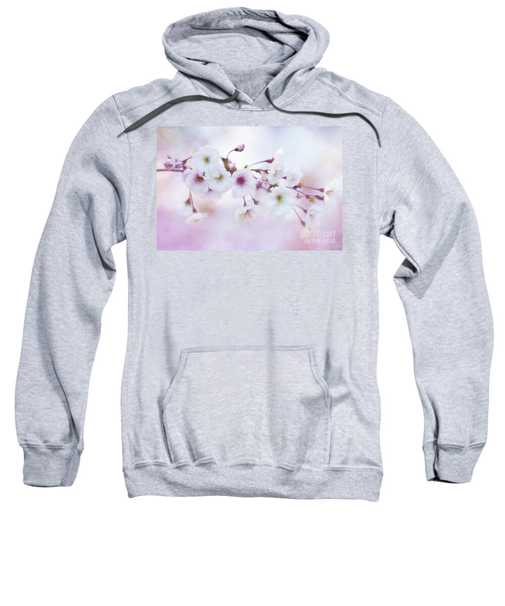 Cherry Blossoms Sweatshirt featuring the photograph Cherry Blossoms in Pastel Pink by Anita Pollak