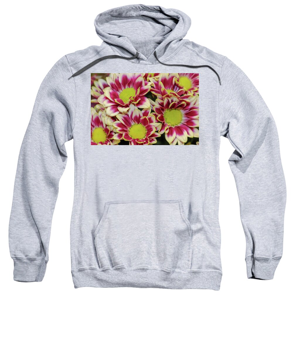 Fall Sweatshirt featuring the photograph Colorful Fall Blooms by Mary Anne Delgado