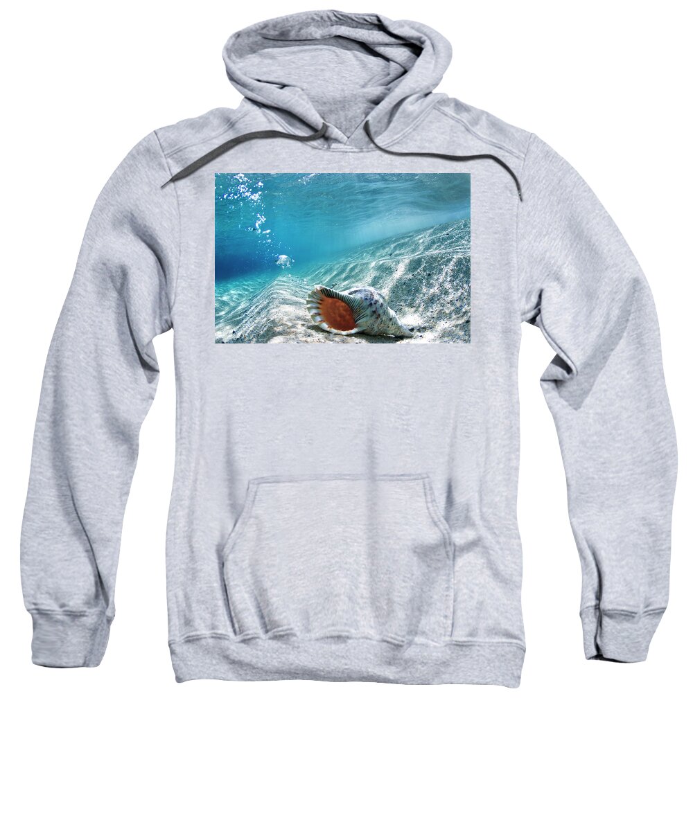  Shell Sweatshirt featuring the photograph Conch Shell Bubbles by Sean Davey