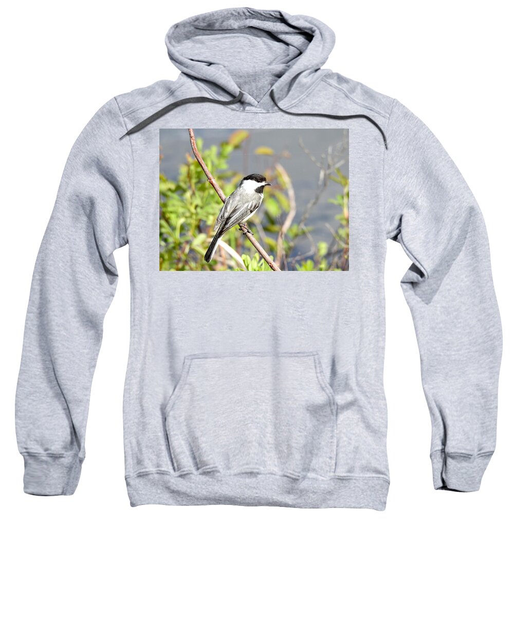 Chickadee Sweatshirt featuring the photograph Contemplative Chickadee by Kathy Chism