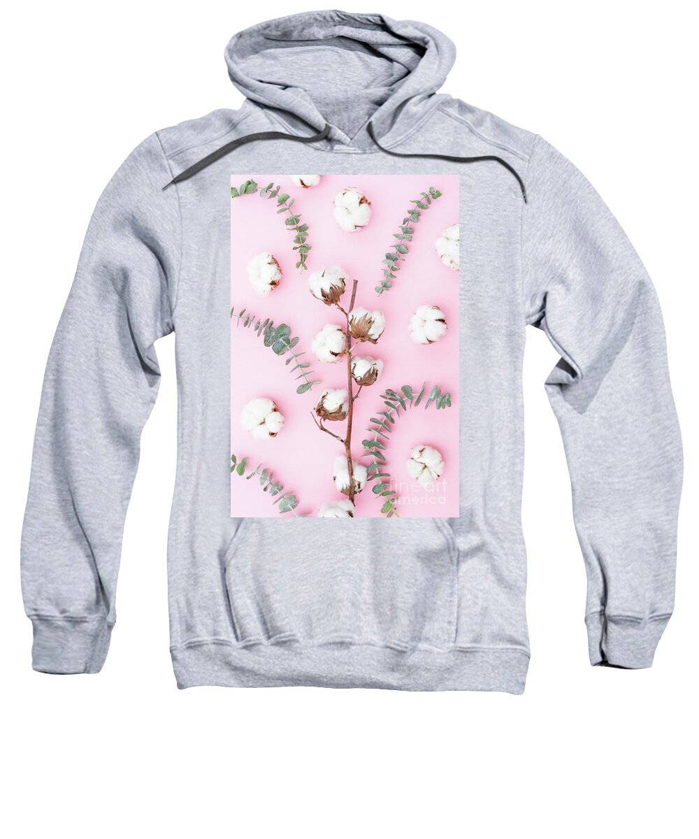 Cotton Sweatshirt featuring the photograph Cotton with Eucaliptus by Anastasy Yarmolovich
