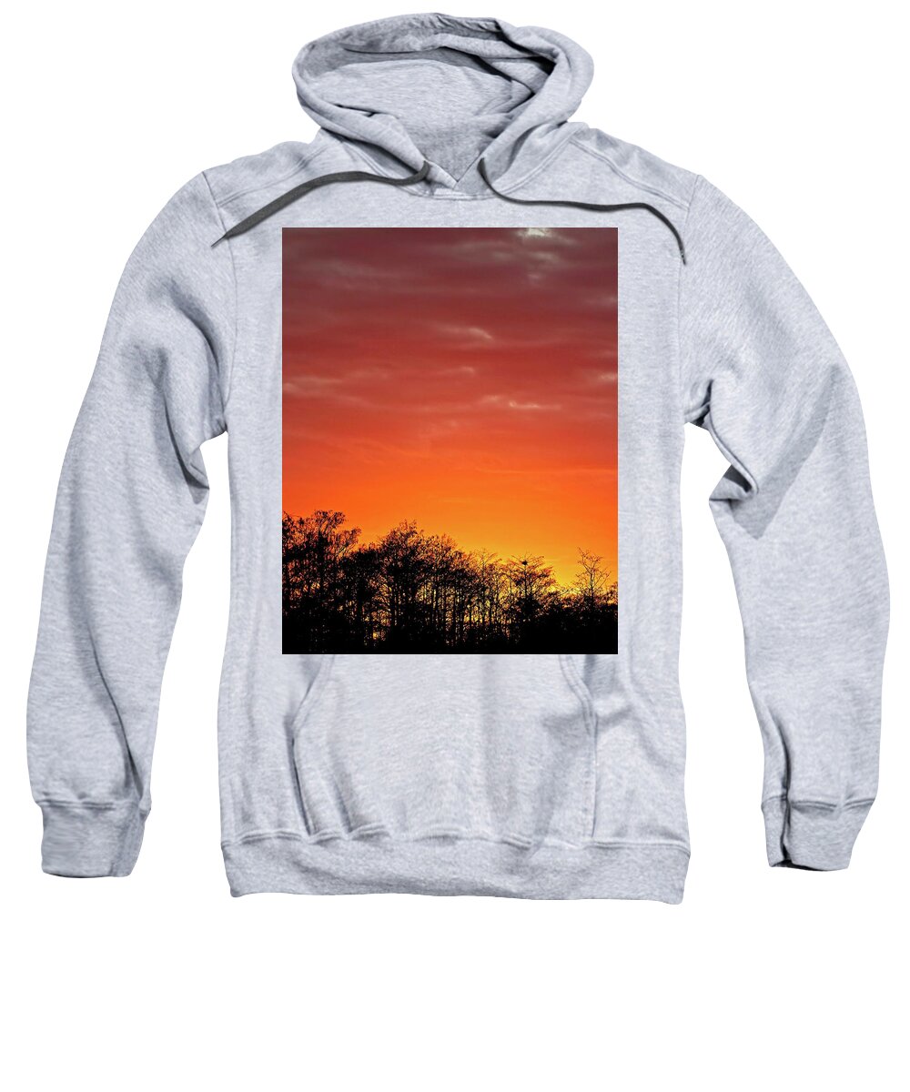 Swamp Sweatshirt featuring the photograph Cypress Swamp Sunset 4 by Steve DaPonte