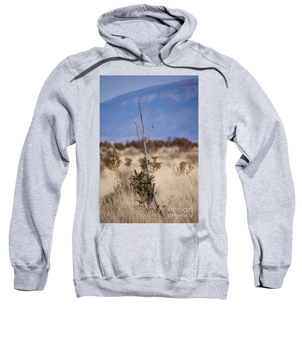 New Mexico Desert Sweatshirt featuring the photograph Desert Trident by Robert WK Clark