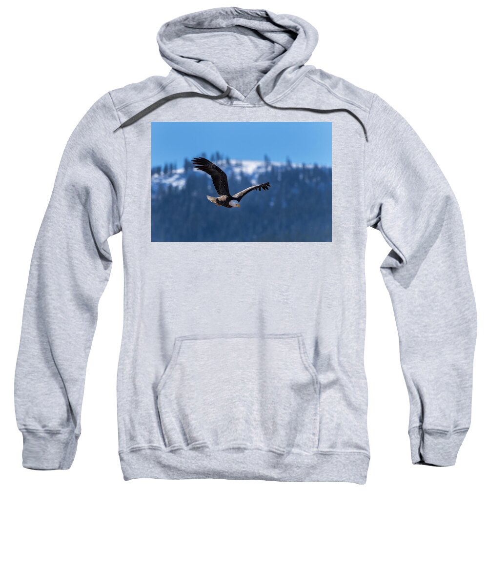 Eagle Sweatshirt featuring the photograph Diamond Mountian and Eagle by Randy Robbins