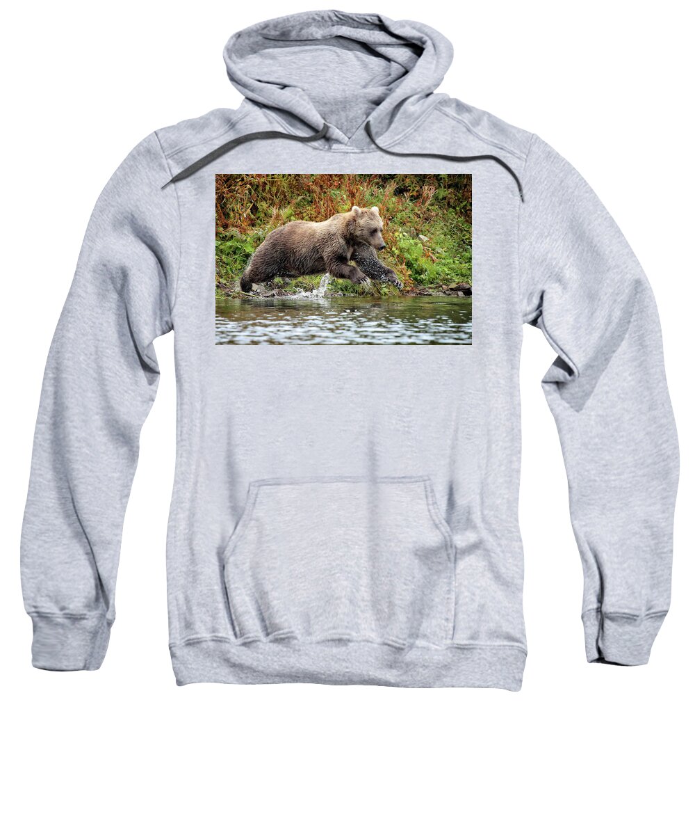Brown Bear Sweatshirt featuring the photograph Diving Bear by Coby Cooper