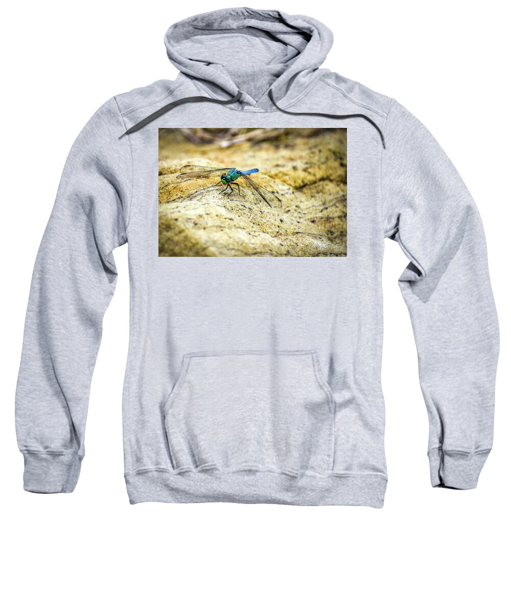 Dragon Fly Sweatshirt featuring the photograph Dragon Fly by Michelle Wittensoldner