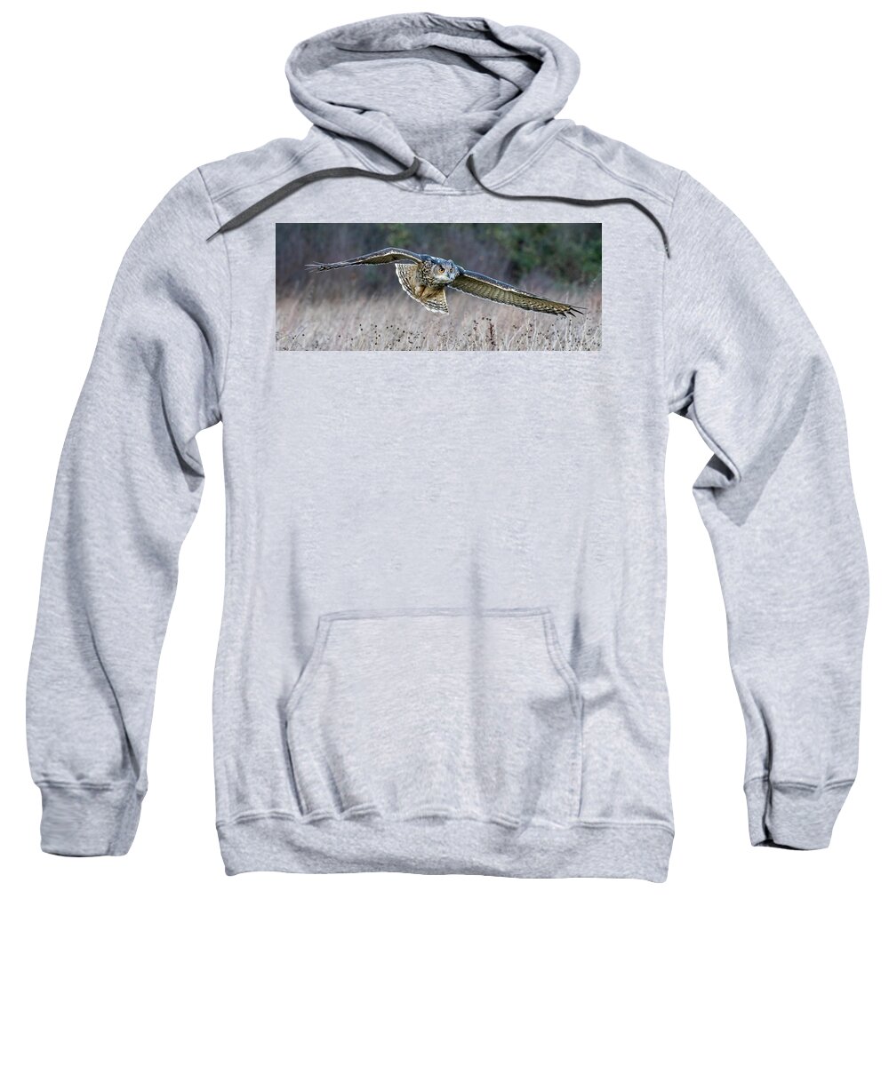 Owl Sweatshirt featuring the photograph Eagle Owl Gliding by Mark Hunter