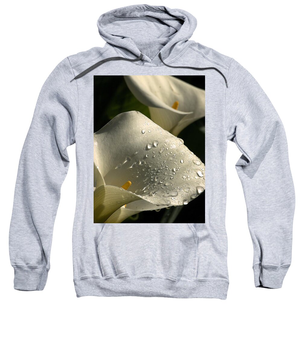 Botanical Sweatshirt featuring the photograph Easter Rain by Richard Thomas