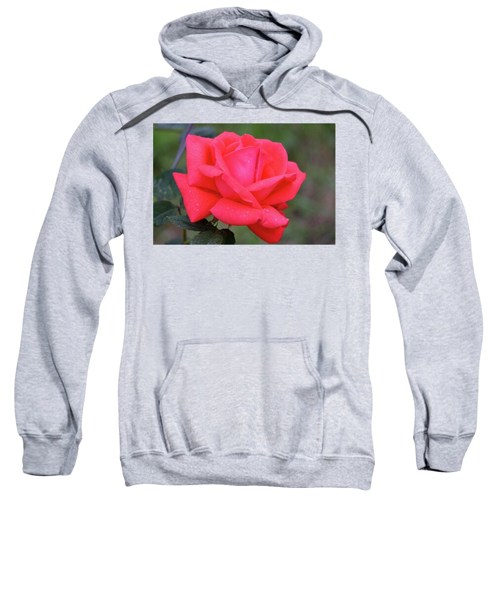 Rose Sweatshirt featuring the photograph Elegance by Mary Anne Delgado