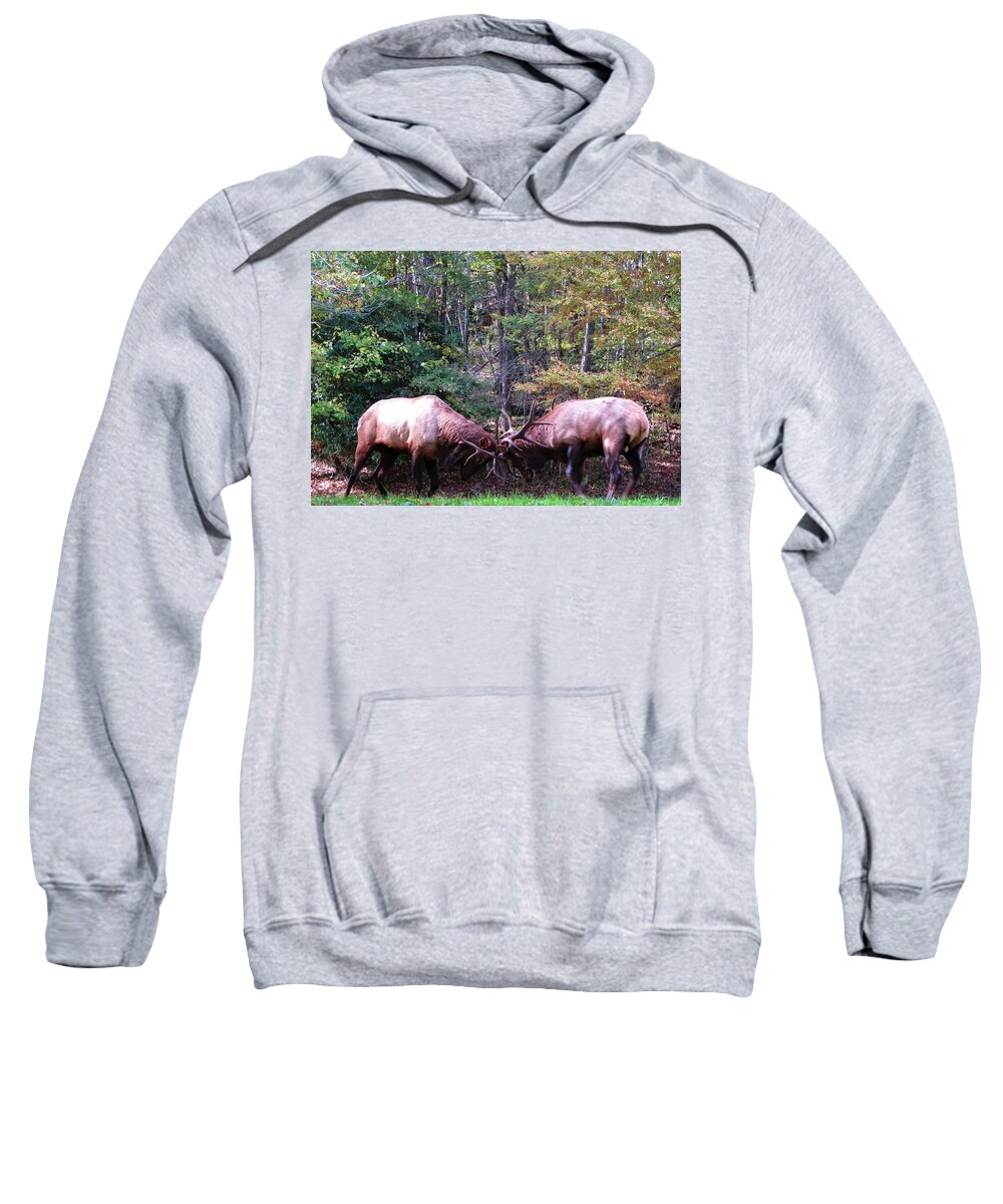 Elk Spar Sweatshirt featuring the photograph Elk Spar by Joshua Bales