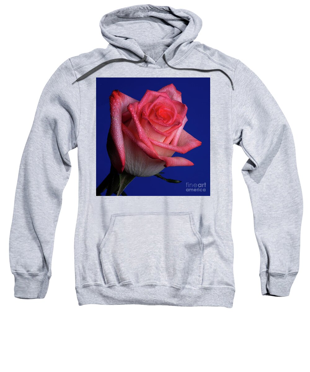 Rose Sweatshirt featuring the photograph Enhancer by Doug Norkum