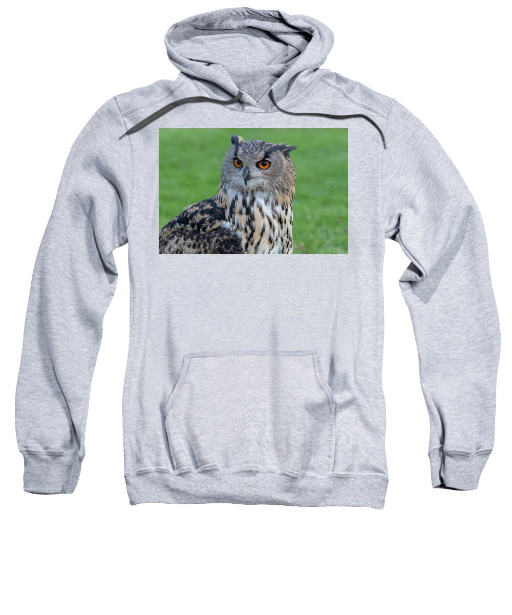 Owl Sweatshirt featuring the photograph Eurasian Eagle Owl Portrait by Mark Hunter