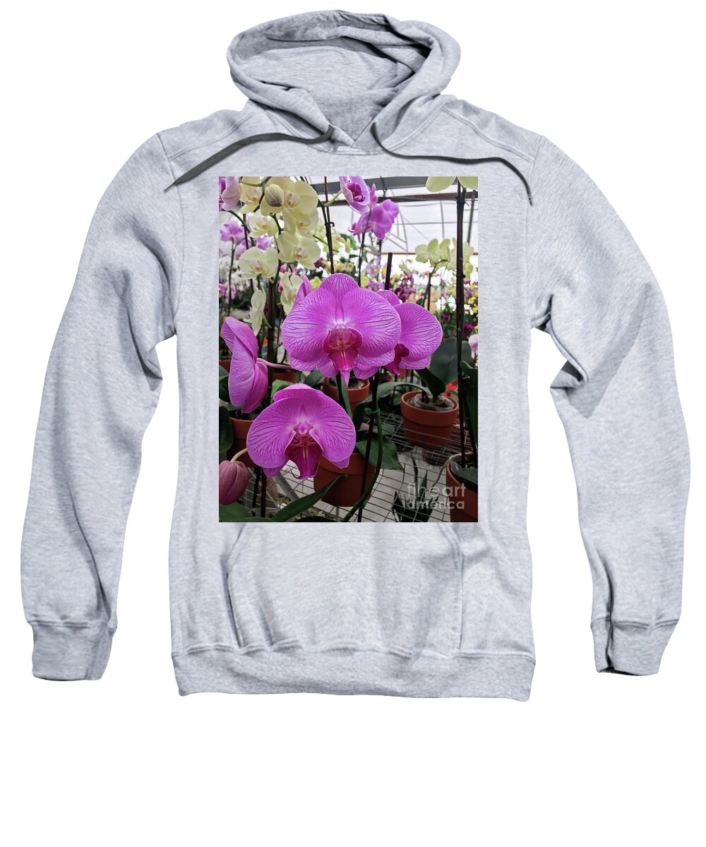 Orchid Flower Sweatshirt featuring the photograph Beautiful Exotic Orchid Artwork 09 by Carlos Diaz