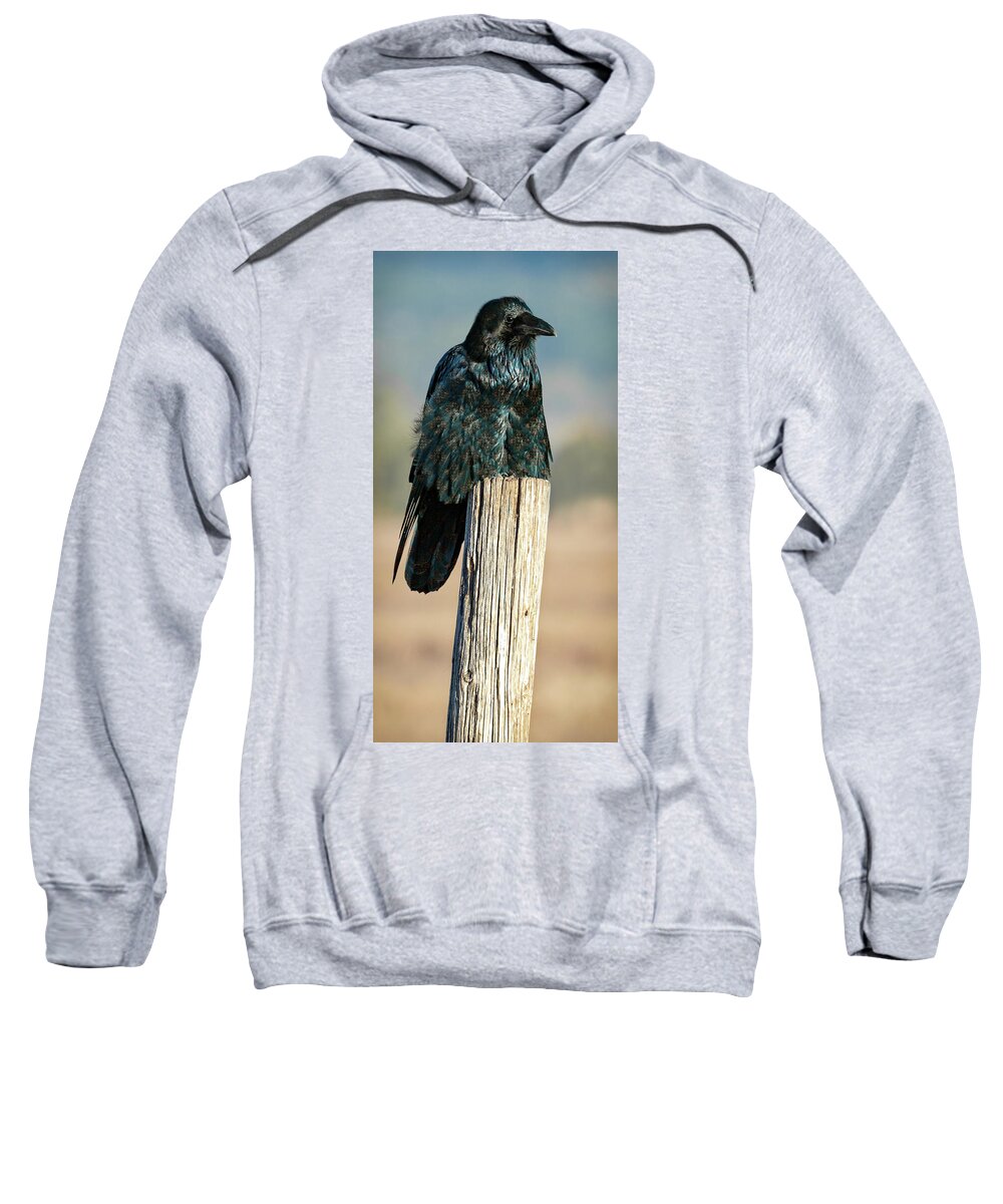 Raven Sweatshirt featuring the photograph Feeling Fancy by Mary Hone
