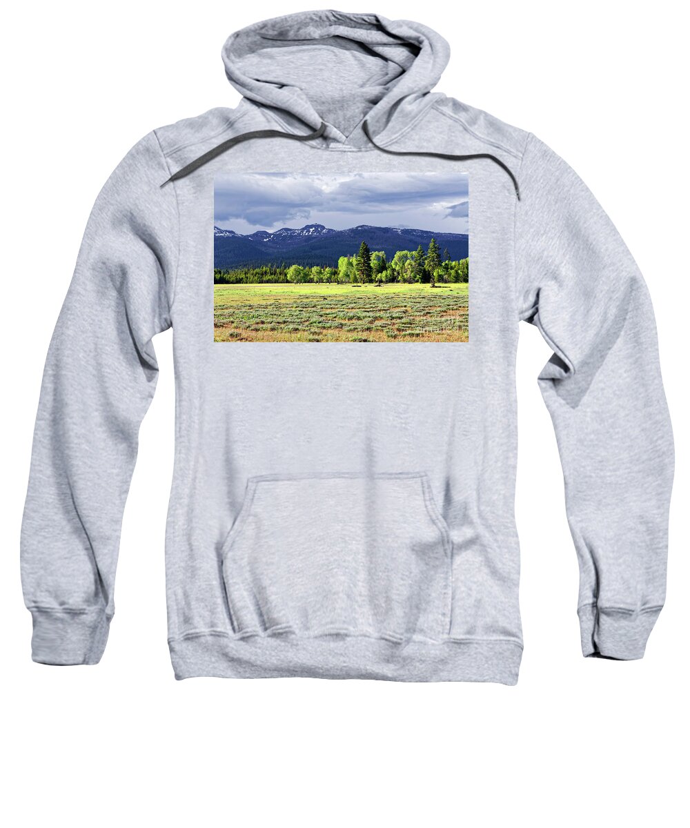 Wide Open Spaces Sweatshirt featuring the photograph Flat Wide Lush Green Prairie Beautiful Sun Sunshine Mixed Trees On Edge Snowy Mountains Background by Robert C Paulson Jr