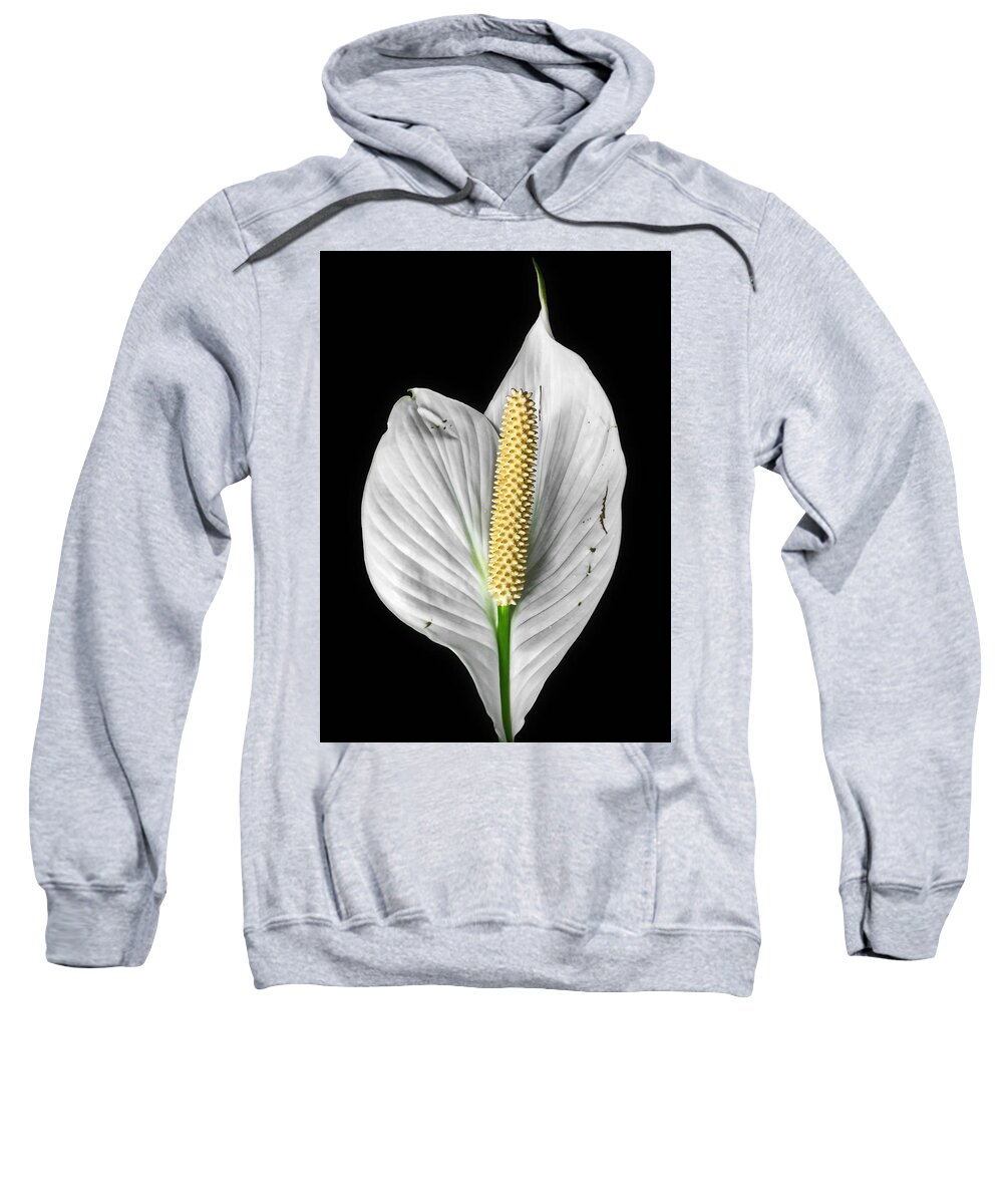 Floral Sweatshirt featuring the photograph Flawed Beauty by Nathan Little