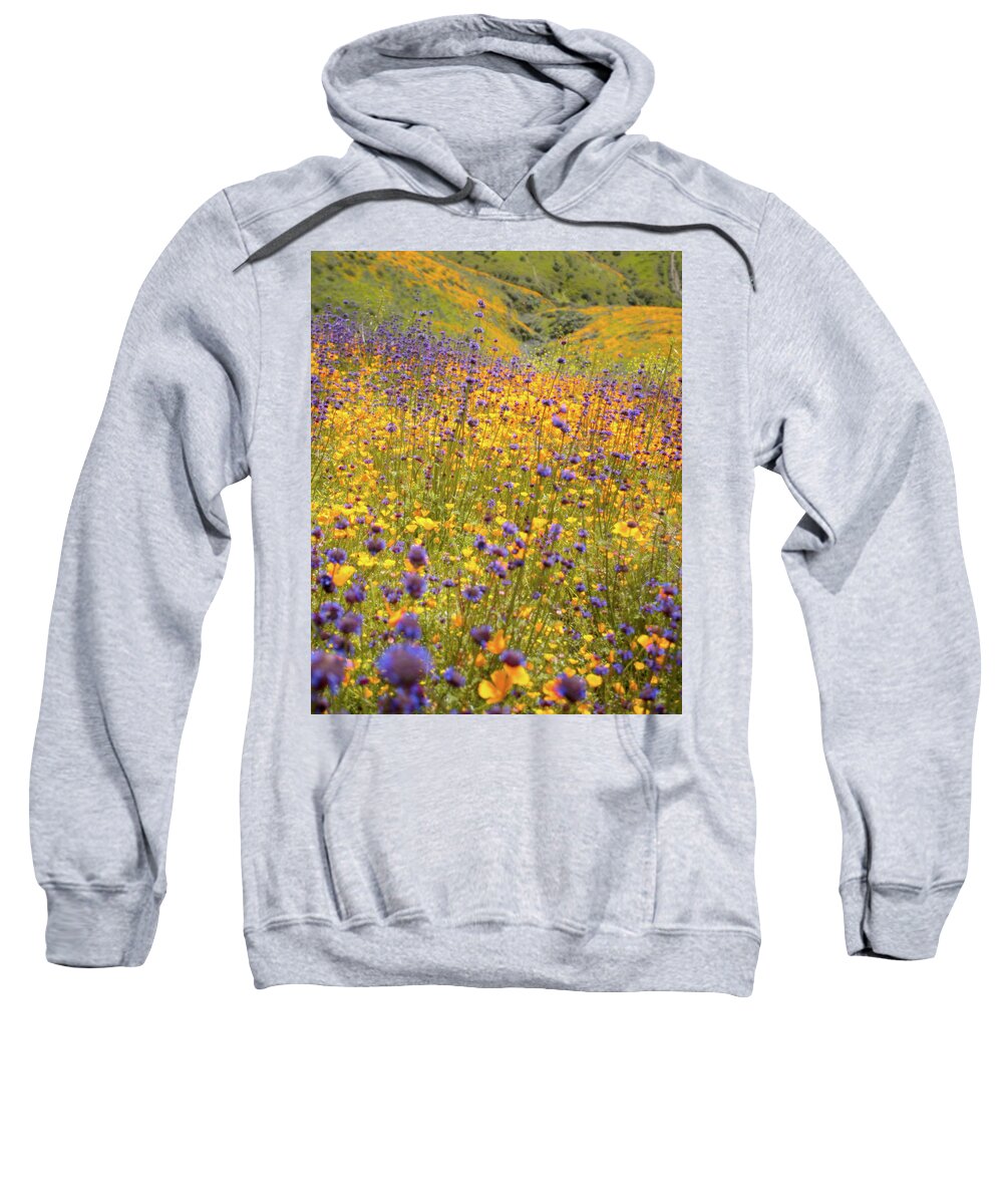 Flowers Sweatshirt featuring the photograph Flora 6 by Ryan Weddle