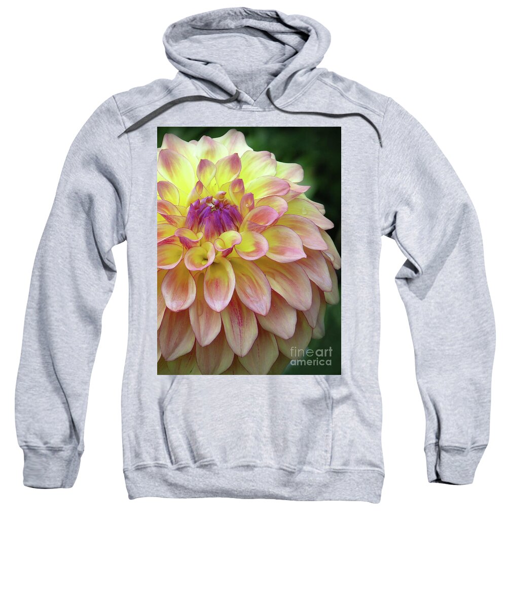 Floral Sweatshirt featuring the photograph Dahlia Fantasy by Randall Dill
