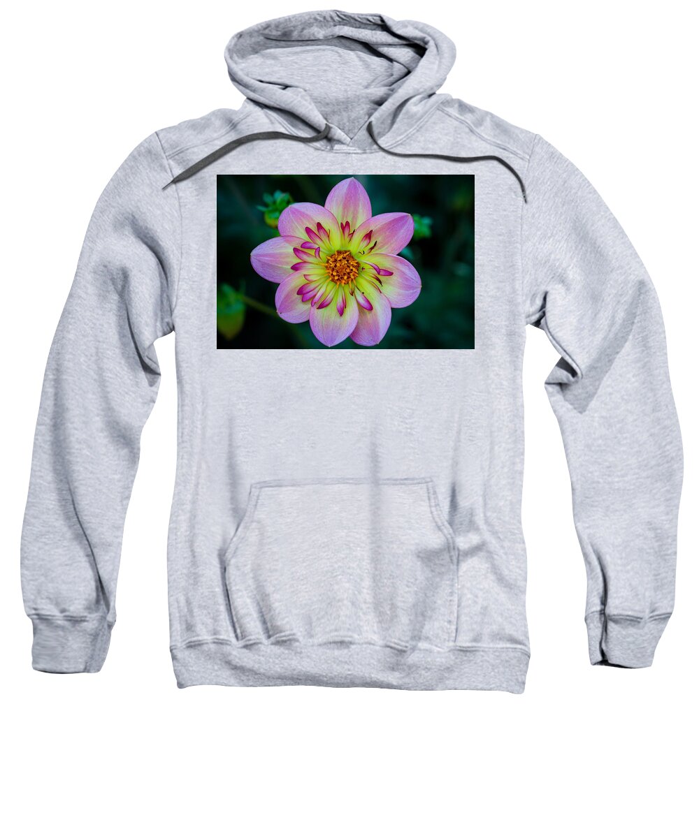 Flower Sweatshirt featuring the photograph Flower 3 by Anamar Pictures