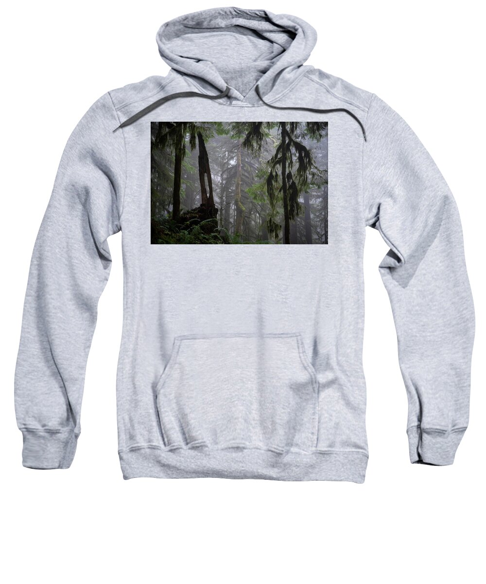 Fog Sweatshirt featuring the photograph Foggy Forest by Steven Clark