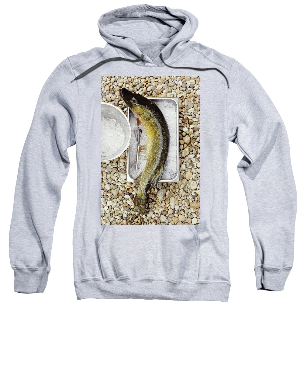 Fresh Northern Pike Fish With Ice On Pebbles Adult Pull-Over
