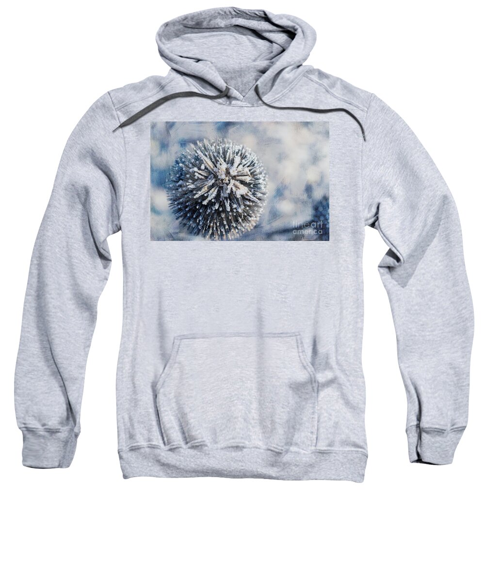 Thistle Sweatshirt featuring the mixed media Frozen Thistle by Eva Lechner