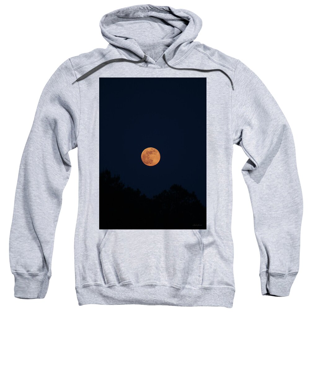 Full Moon Sweatshirt featuring the photograph Full Moon by Linda Sannuti
