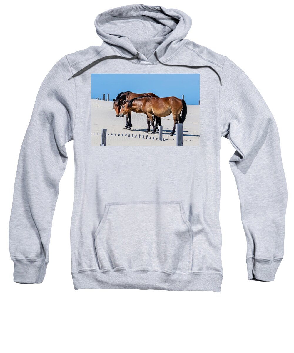 Animals Sweatshirt featuring the photograph Girl Talk 2 by Donna Twiford