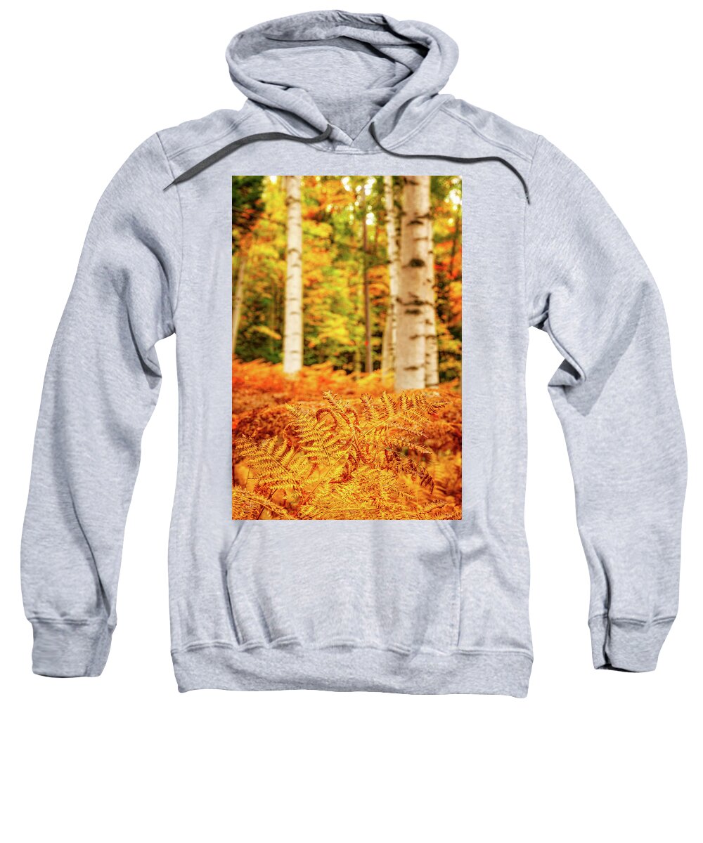 Autumn Sweatshirt featuring the photograph Golden Ferns In The Birch Glade by Jeff Sinon