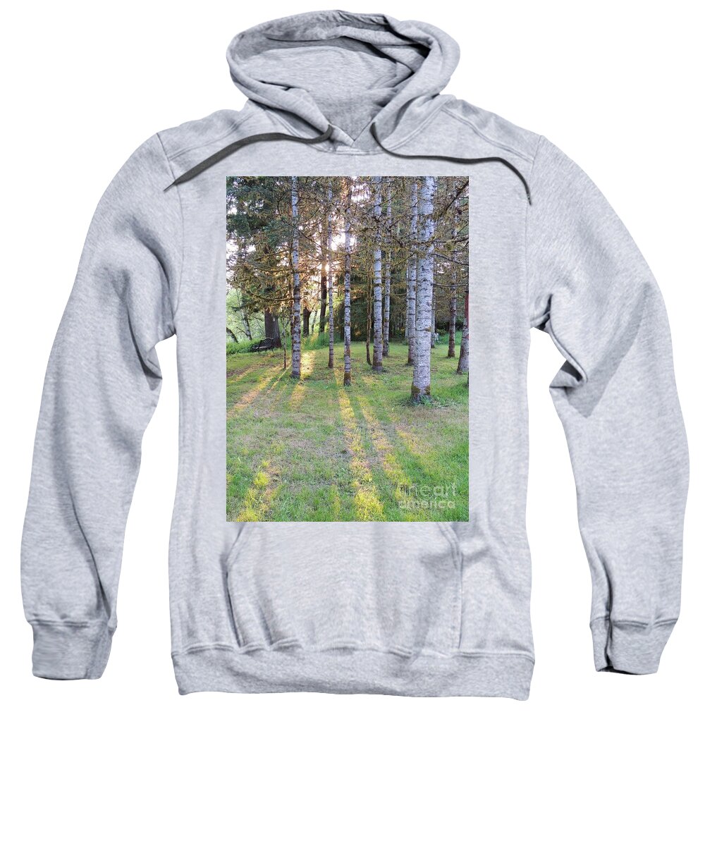 Trees Sweatshirt featuring the photograph Golden Light Through the Trees by Julie Rauscher