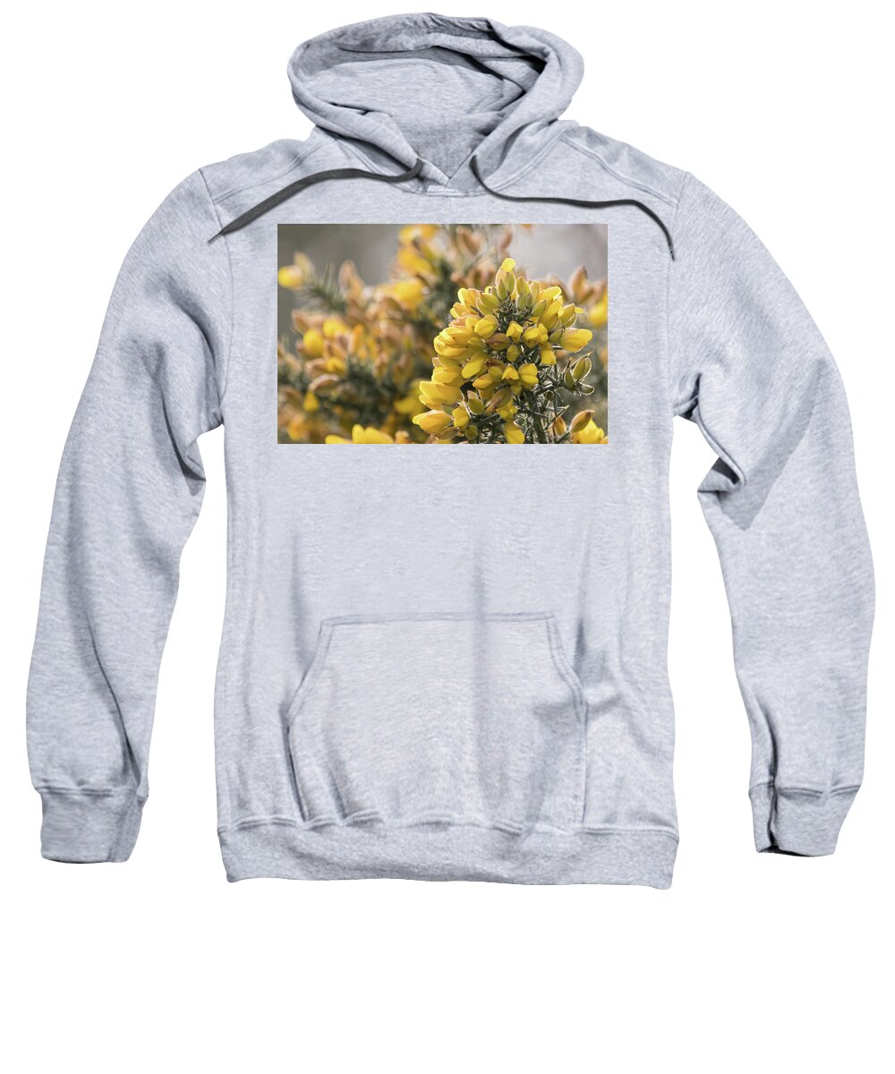 Wildlifephotograpy Sweatshirt featuring the photograph Gorse by Wendy Cooper