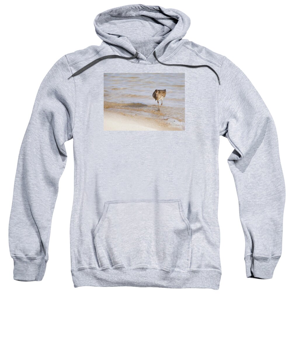 Gull Sweatshirt featuring the photograph Gull Walking at Ocean's Edge - Painterly by Lorraine Cosgrove