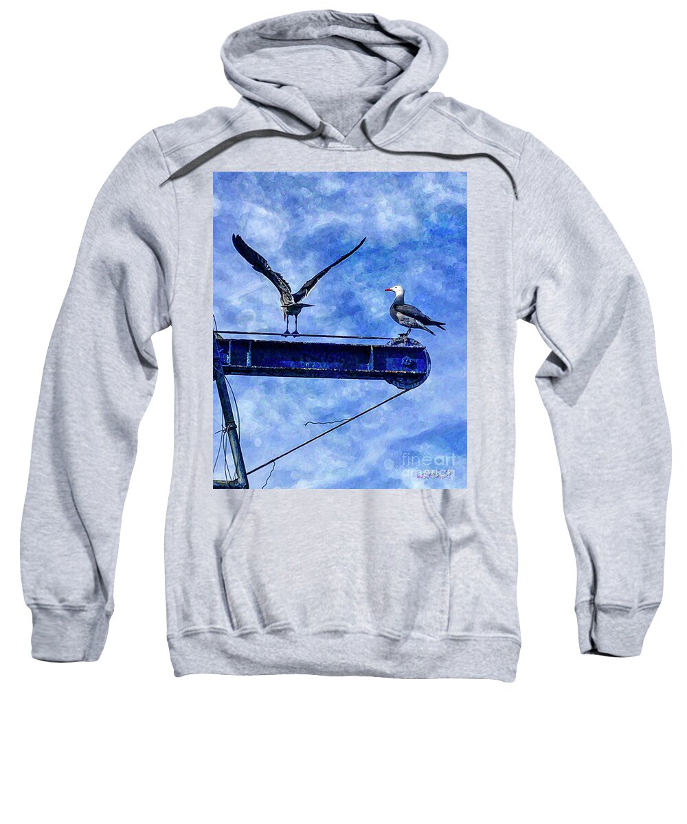 Ports O' Call Sweatshirt featuring the digital art High Diving Gulls by Rhonda Strickland
