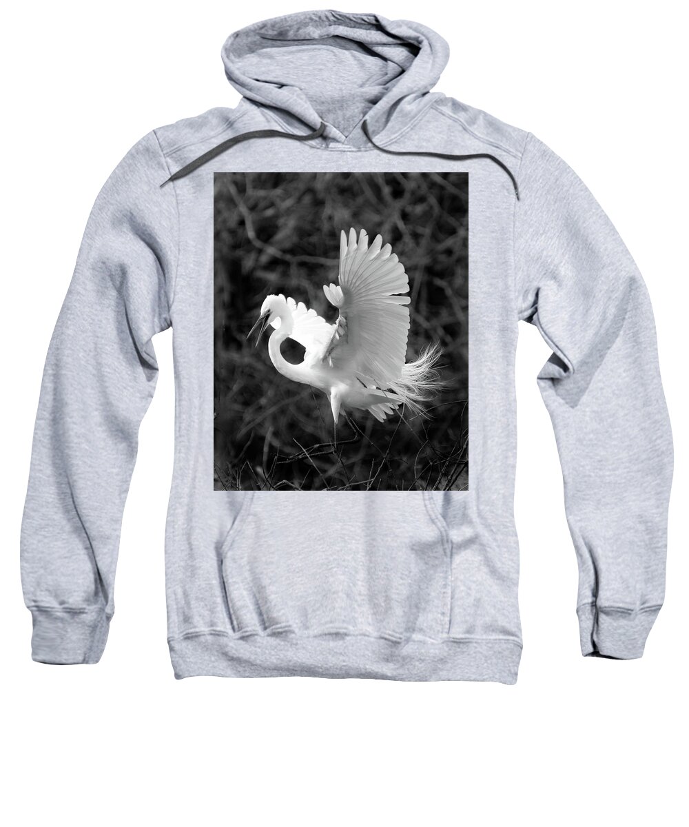 Egret Sweatshirt featuring the photograph Hitting the Brakes by Jerry Griffin