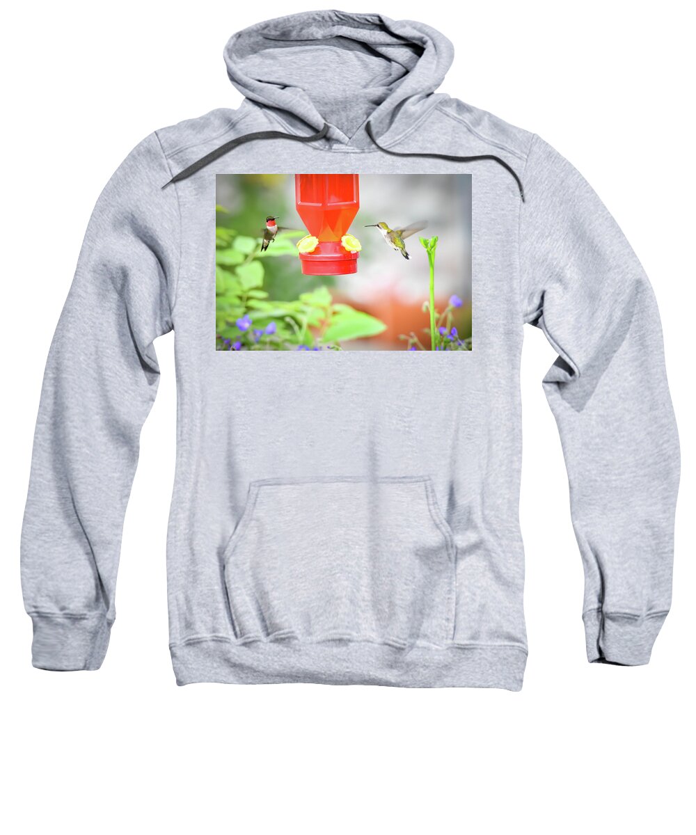 Red Throated Sweatshirt featuring the photograph Humming Birds by Michelle Wittensoldner
