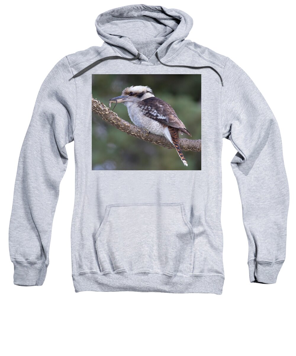 Bird Sweatshirt featuring the photograph Hunter by Masami IIDA