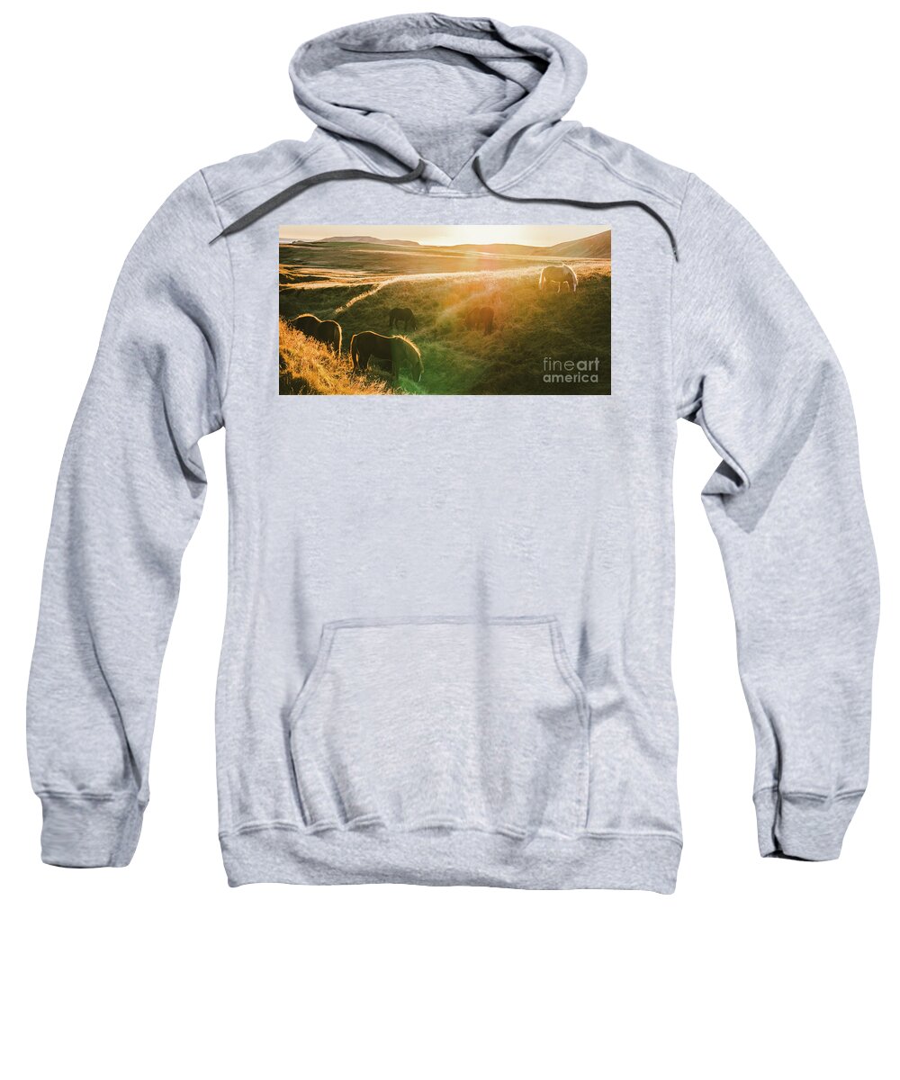 Animal Sweatshirt featuring the photograph Icelandic landscapes, sunset in a meadow with horses grazing ba by Joaquin Corbalan