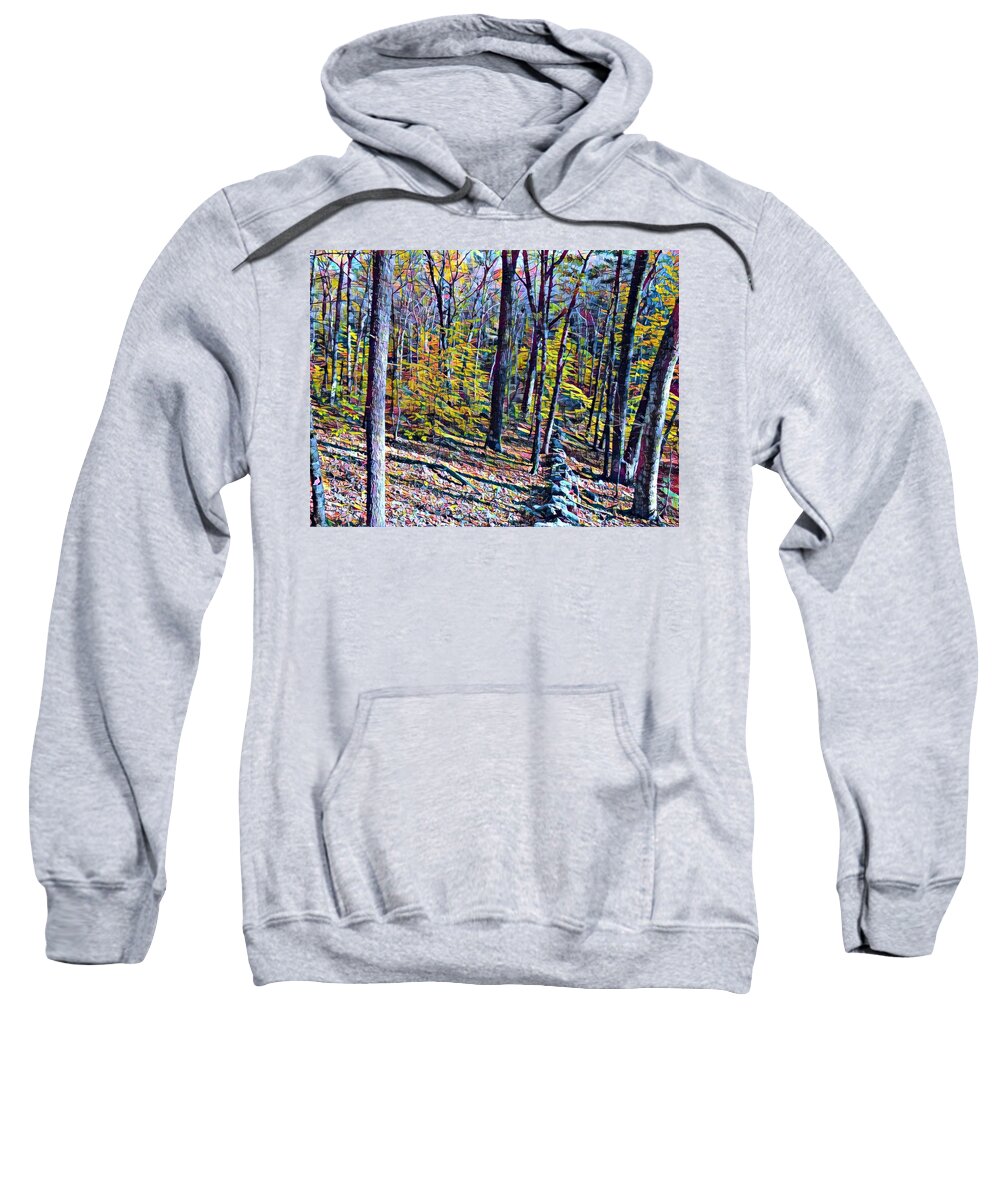 Photoshopped Painting Sweatshirt featuring the digital art Into the Woods #1 by Steve Glines