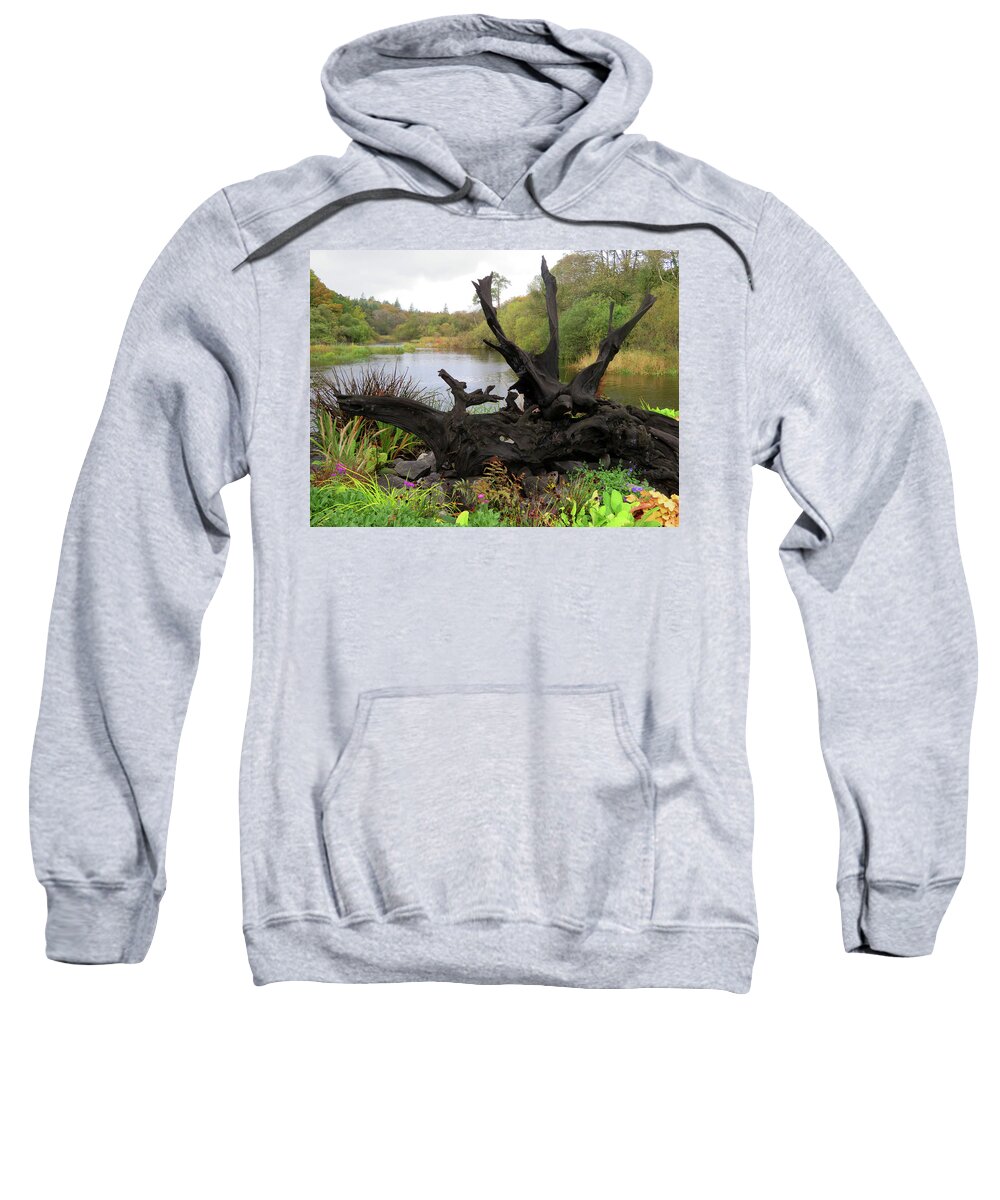 Ireland Sweatshirt featuring the photograph It's a Natural World by Vicky Edgerly