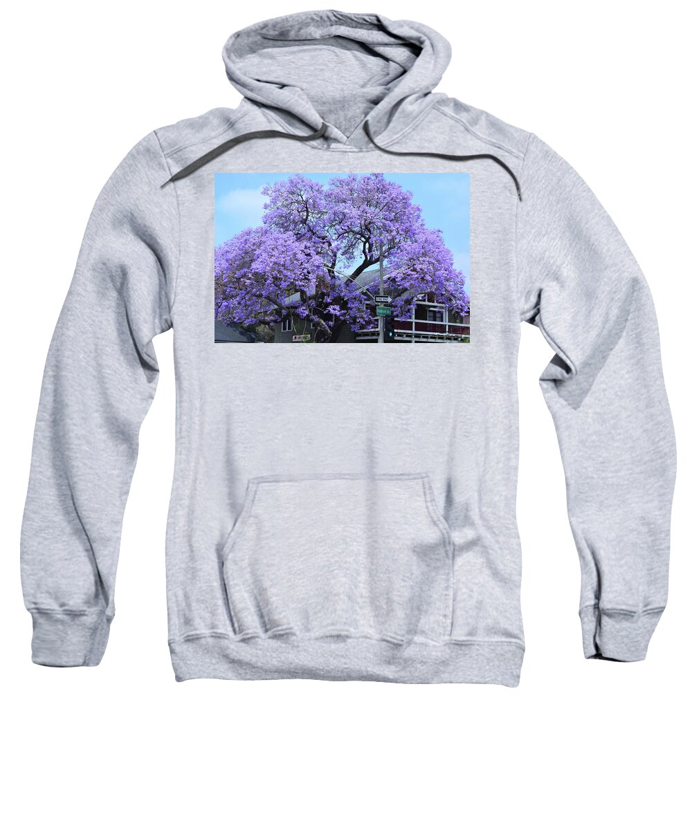 Jacaranda Sweatshirt featuring the photograph Jacaranda Tree, Pasadena, California by Brian Tada