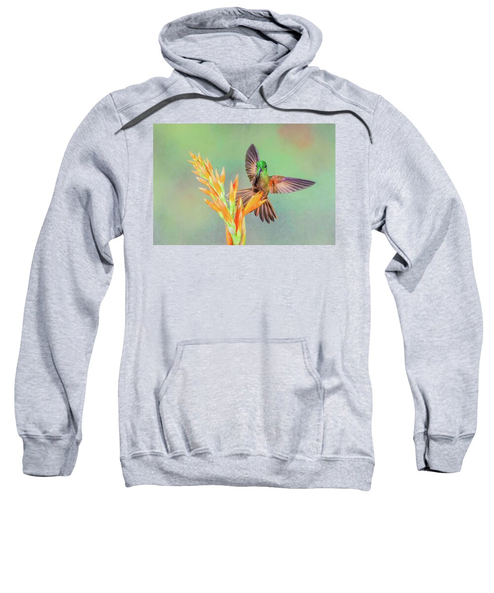 Cory Sweatshirt featuring the photograph Landing by Tom and Pat Cory