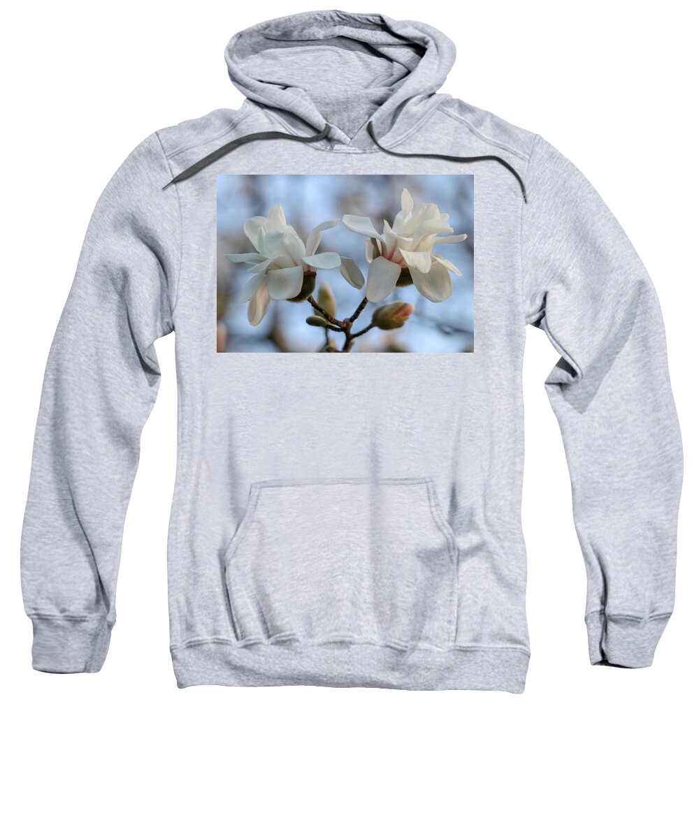 Dogwood Sweatshirt featuring the photograph Let's Dance by Mary Anne Delgado