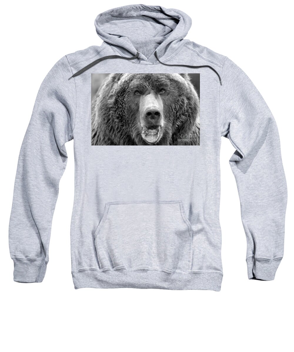 Brown Bear Sweatshirt featuring the photograph Like OMG Did You See That Tourist Black And White by Adam Jewell