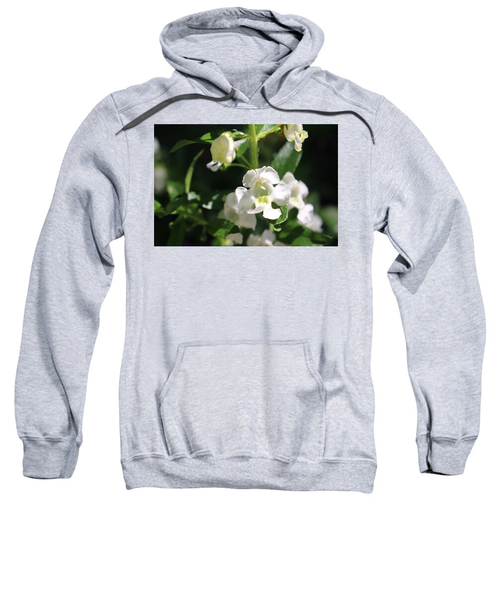 Lily Of The Valley Sweatshirt featuring the photograph Lily of the Valley, Cape May by Christopher Lotito