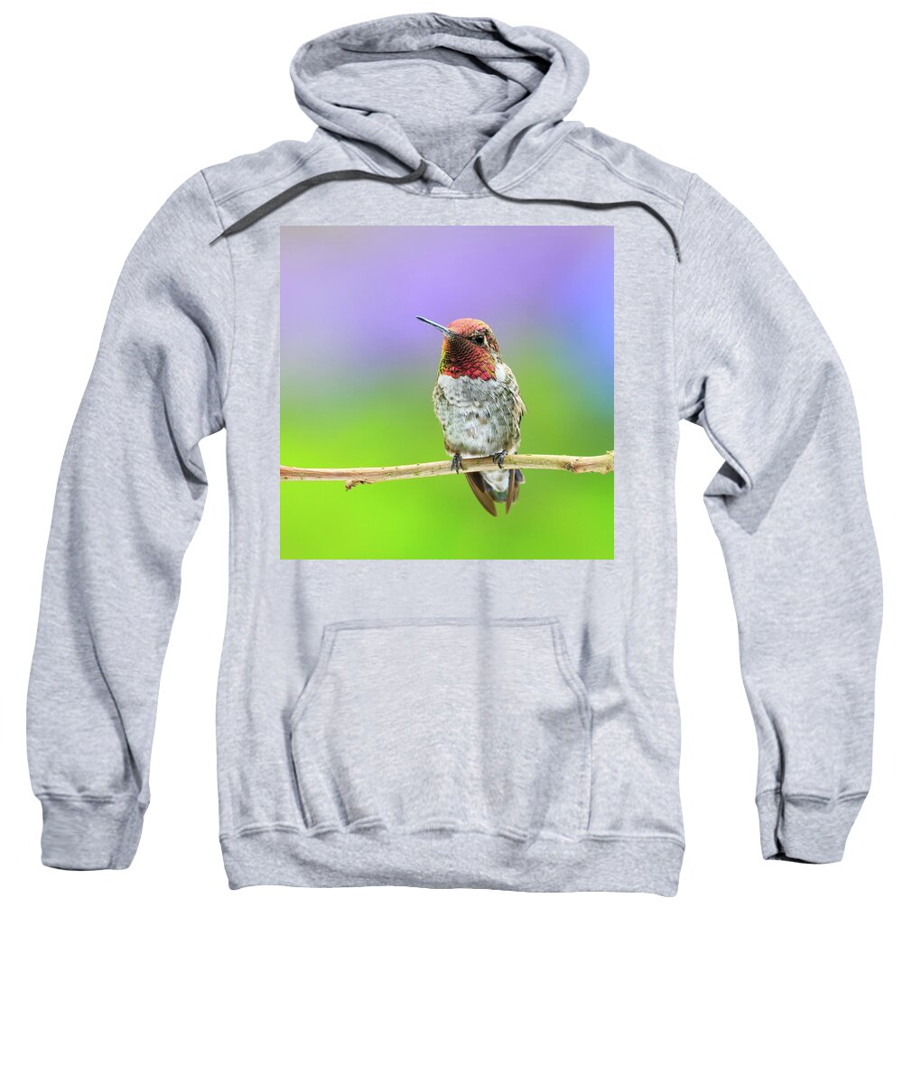 Animal Sweatshirt featuring the photograph Little Jewel by Briand Sanderson