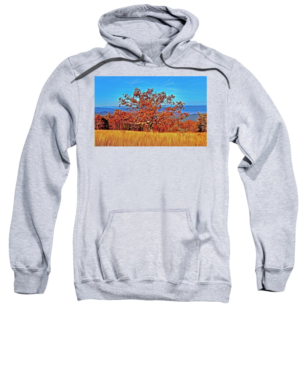 Skyline Drive Sweatshirt featuring the photograph Lone Mountain Tree Skyline Drive by The James Roney Collection