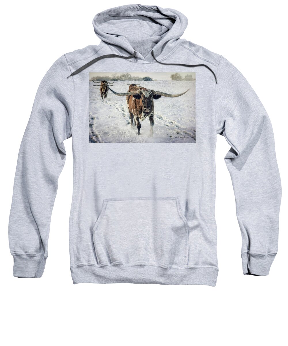 Longhorn Sweatshirt featuring the photograph Longhorns in the Snow #1 by Linda Lee Hall