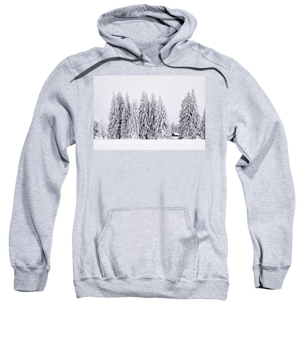 Chalet Sweatshirt featuring the photograph Lost in Winter by Dominique Dubied