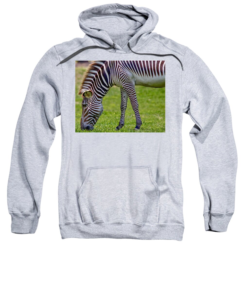 Animal Sweatshirt featuring the photograph Love Zebras by Susan Rydberg